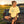 Dandelion Butter Graphic Tee