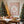 O Holy Night Print