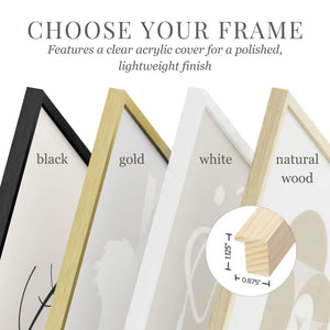 FrameFeature