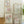 Trendy Christmas Set of 15 Prints